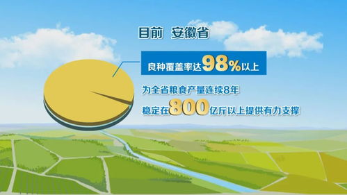 種業(yè)全鏈條創(chuàng)新，科技服務(wù)護(hù)航“江淮糧倉(cāng)”建設(shè)