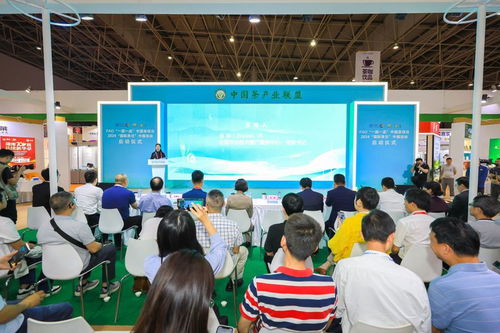 聯(lián)合國(guó)糧農(nóng)組織“一國(guó)一品”中國(guó)茶項(xiàng)目暨2024國(guó)際茶日中國(guó)活動(dòng)正式啟動(dòng)，技術(shù)推廣服務(wù)助力茶產(chǎn)業(yè)高質(zhì)量發(fā)展