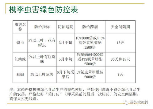 桐鄉(xiāng)槜李香滿園 農(nóng)技專家張杰深入桃園村開(kāi)展品質(zhì)提升與技術(shù)推廣培訓(xùn)